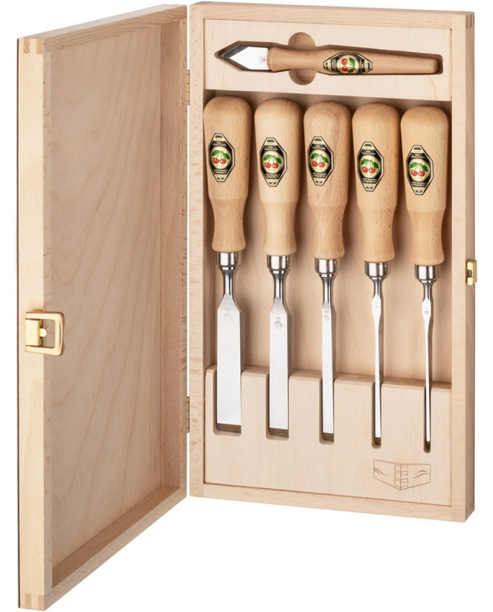 Juego de 5 formones de cola de milano