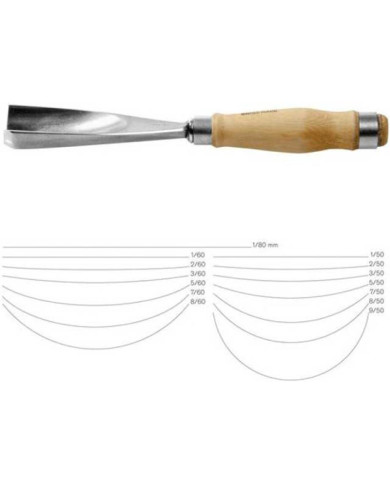Gubia bernesa 9/50 Pfeil