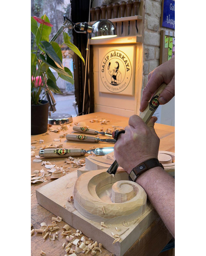 Juego de 12 gubias en funda de piel