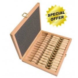 Set of 14 micro carving tools